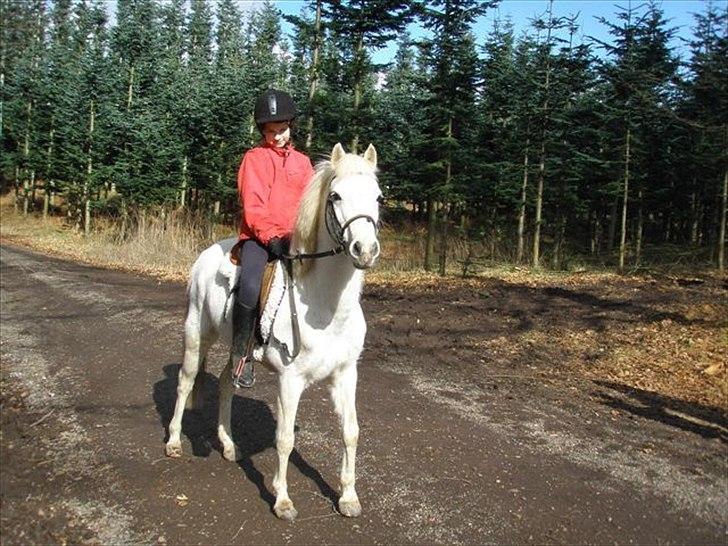 Anden særlig race KOKOS - I Skoven<3 billede 10