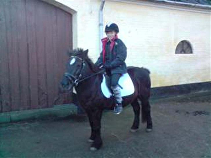 Anden særlig race Zeberg's Tut (solgt) billede 18