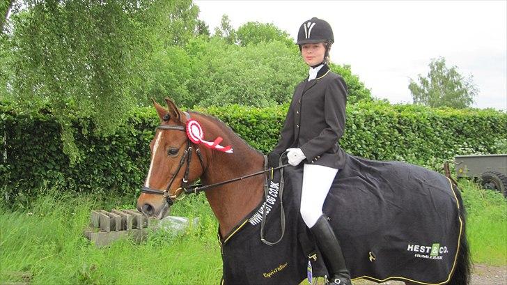 Anden særlig race ÆBLEDALENS ATHOS - ØRK Klubmester i Dressur 2010! :-)) Sommer 2010. Taget af Lone Knudsen. billede 5