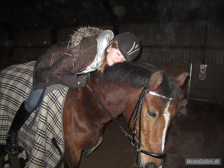 Anden særlig race ÆBLEDALENS ATHOS - Jeg elsker dig! <3 Efterår 2010. Taget af Emilie Olsen. billede 6