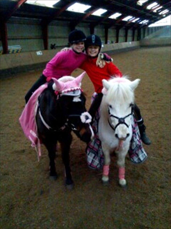 Anden særlig race Tulle<3 elsket & savnet - mig og laura der rider sammen <333 billede 9