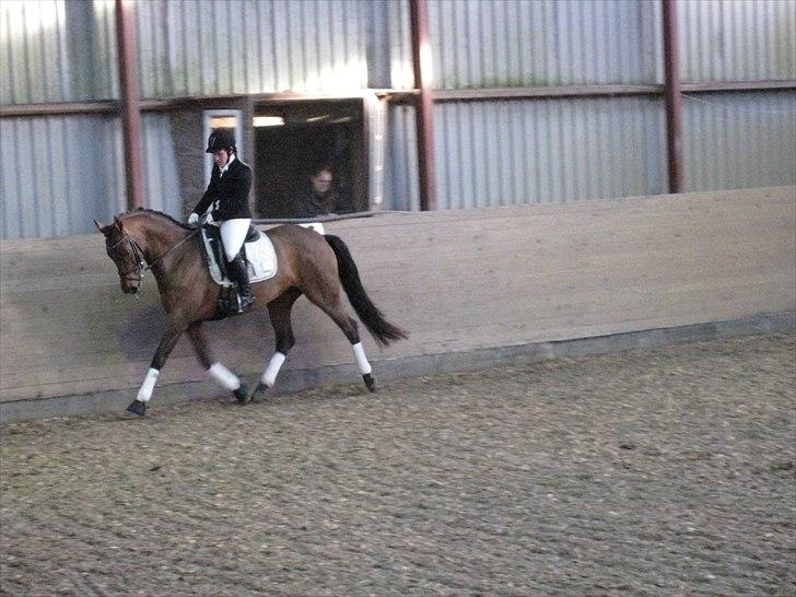 Holstener Chanel *R.I.P 5/4-2011* billede 5