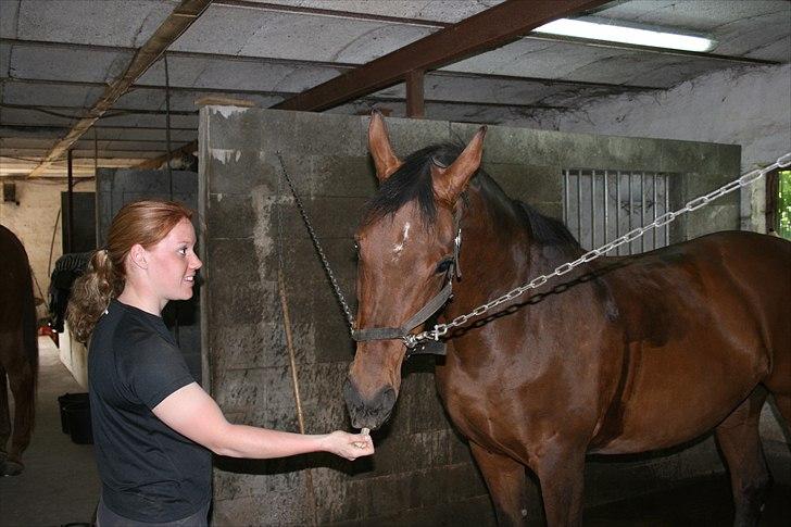 Holstener Chanel *R.I.P 5/4-2011* billede 8