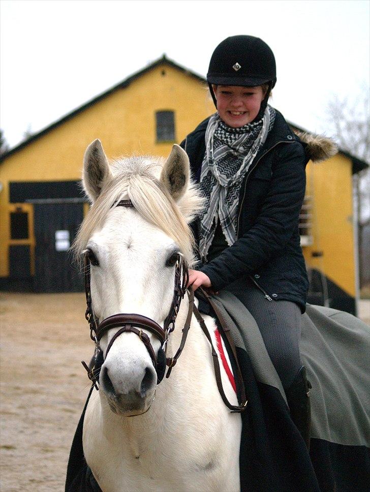 Anden særlig race Sleipner, solgt. - fede og jeg på gårdspladsen :)<3 billede 6