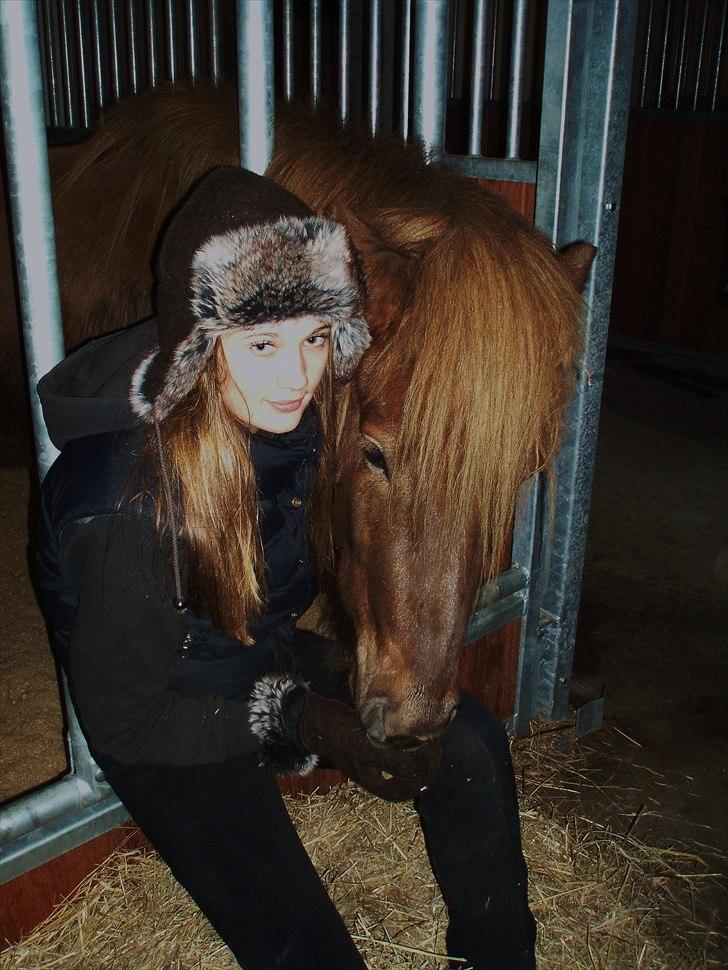 Islænder Hagalin fra Kakke  billede 20