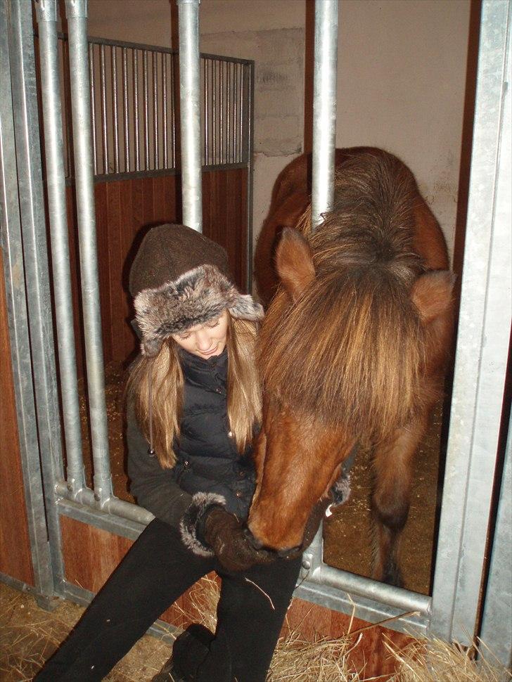 Islænder Vina Vom Neuhoff billede 20