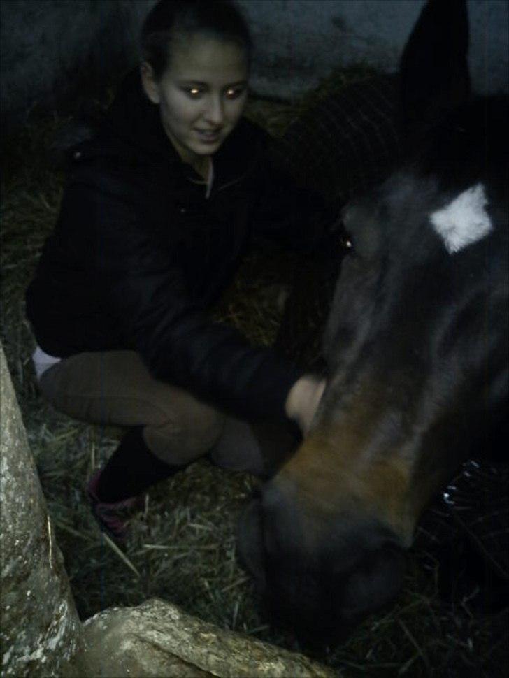 Anden særlig race Lamia  - b. 16 - jeg stoler på dig..  billede 16