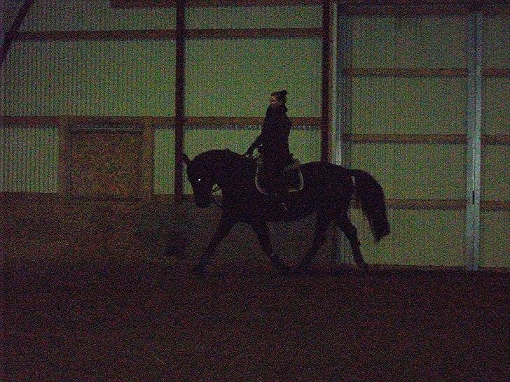 Oldenborg Mahal Noir billede 8