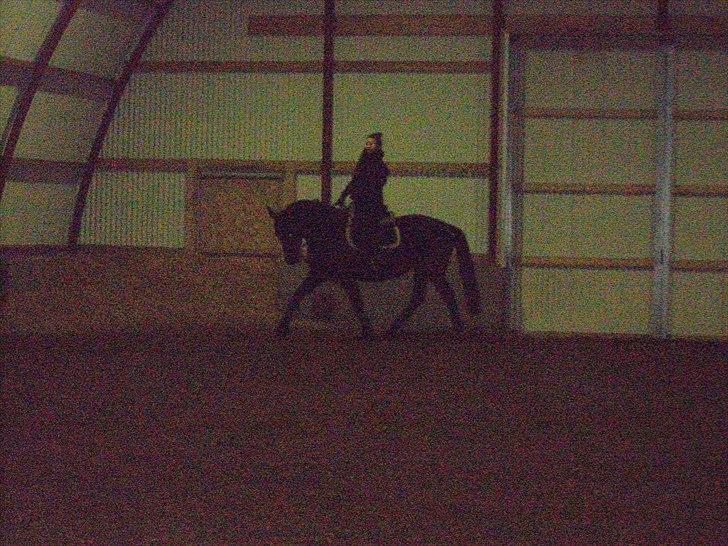 Oldenborg Mahal Noir billede 7