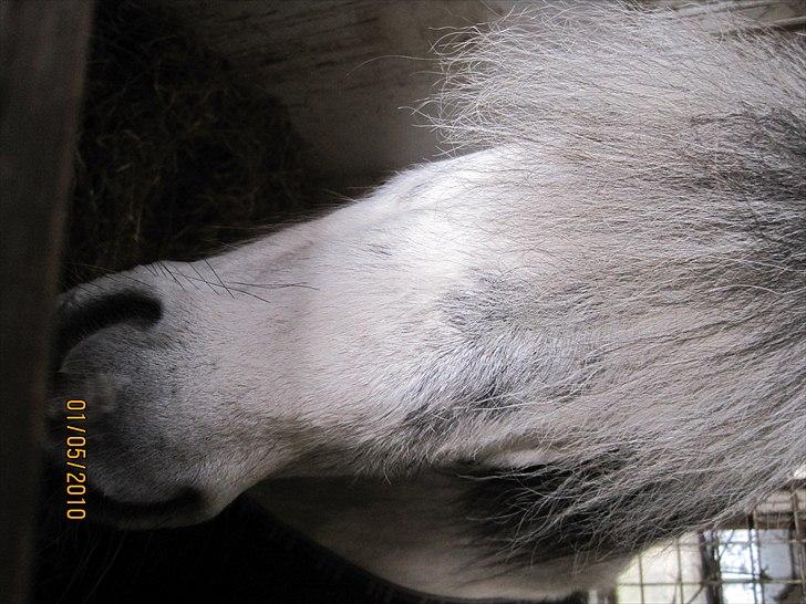 Anden særlig race Plet - Let's meet in heaven.
Then i will kiss you again, and say sorry for all the times i wasn't fair :-/ <33 billede 5