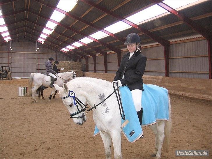 Anden særlig race Søvinds Silvermoon <3 R.I.P <3 :'( - 
Vores første stævne MGR
febuar 2011 2 plads LC3
Foto: Mor billede 2