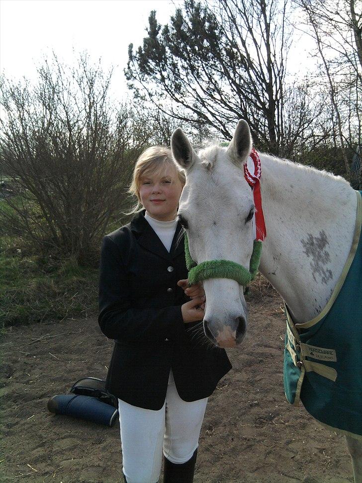 Anden særlig race Søvinds Silvermoon <3 R.I.P <3 :'( - stævne med dygtige silver fik en første plads<3  Foto: Mor billede 3