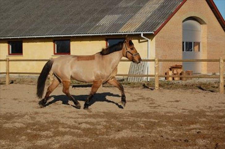 Anden særlig race smukke Lady billede 10