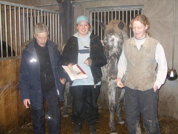 Appaloosa Night-Shift billede 9