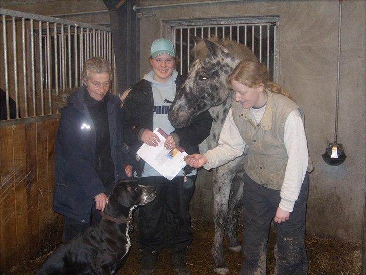 Appaloosa Night-Shift billede 10