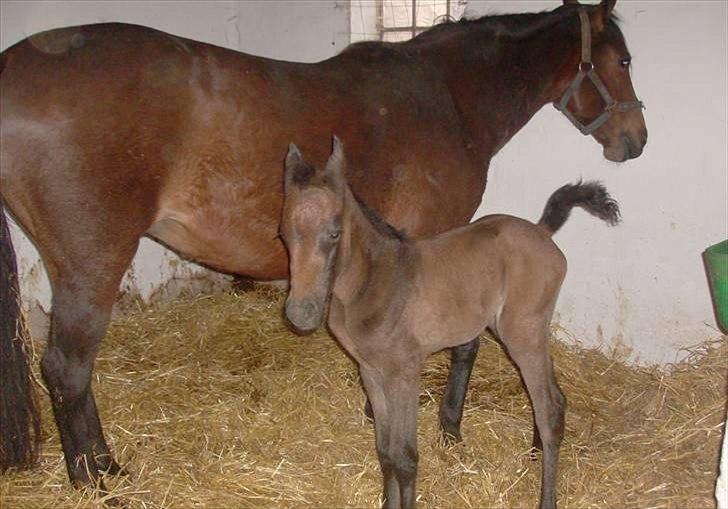 Anden særlig race Payback - Payback´s første dag på jorden :) billede 7