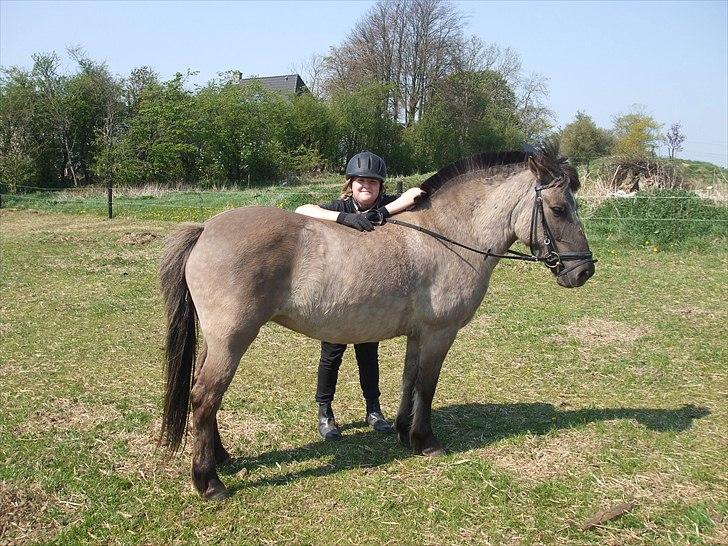 Anden særlig race Lola billede 7