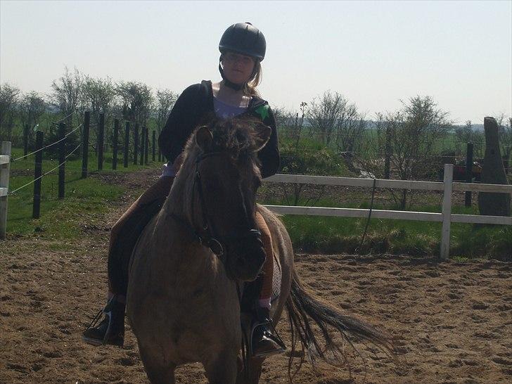 Anden særlig race Lola - da jeg startede med at tilride hende :) billede 8