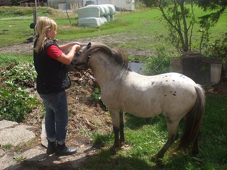 Anden særlig race Hugo billede 6