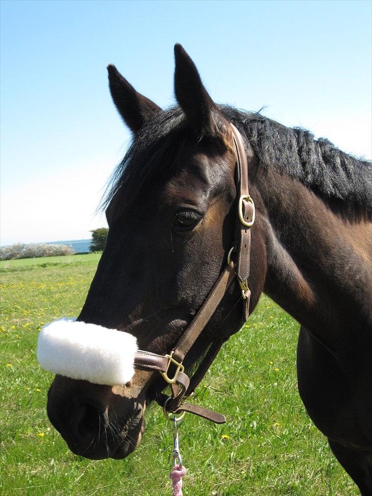 Traver Tøzzen  - Turn it on!  billede 2