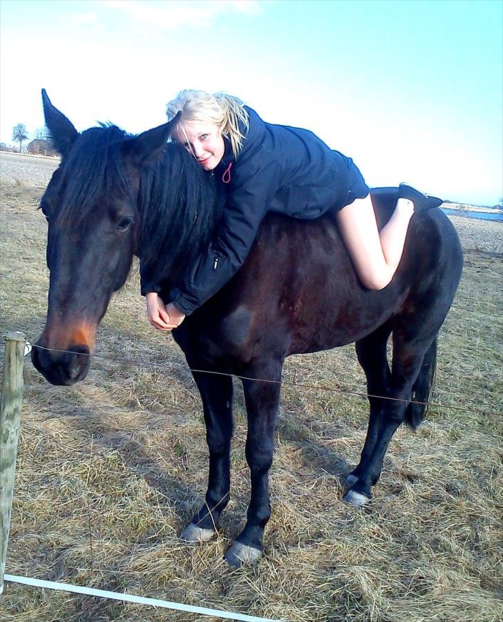 Traver Tøzzen  - <3 billede 3