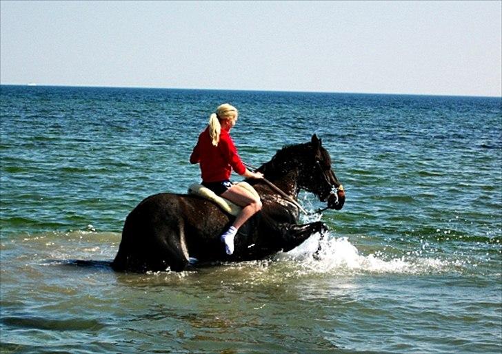 Traver Tøzzen  - Vandland :-) billede 7