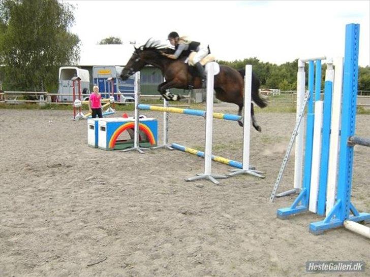 Traver Tøzzen  - 115cm. billede 8