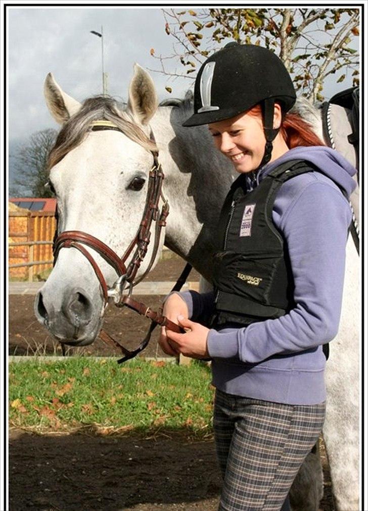 Arabisk fuldblod (OX) Wa`Heed El Haakim GL.part billede 1