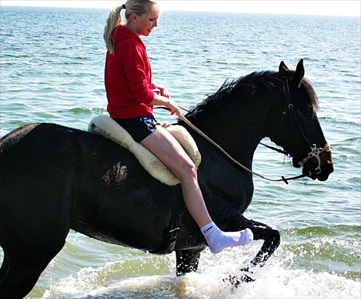 Traver Tøzzen  - *-: billede 10