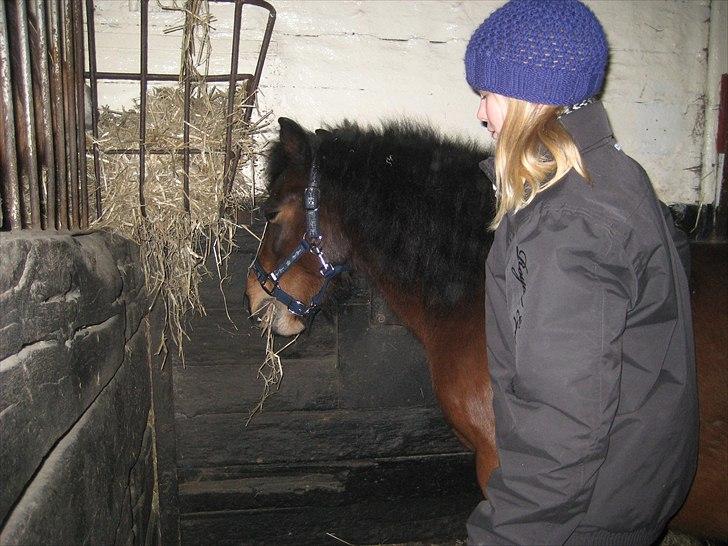 Anden særlig race Raptus*Passer* - 18) Hygge i stalden med Raptus sammen med Alma og Zoë!:) Foto: Alma K billede 18