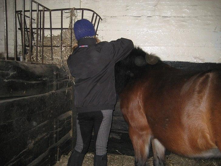 Anden særlig race Raptus*Passer* - 19)Tak fordi i kiggede forbi!! :D billede 19