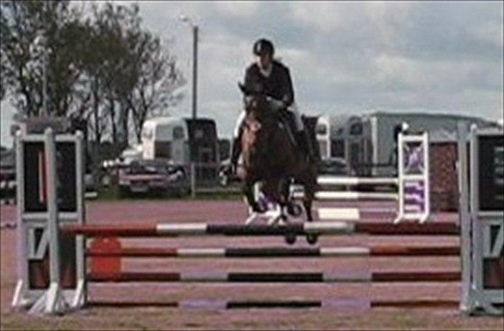 Anden særlig race Rasti billede 15