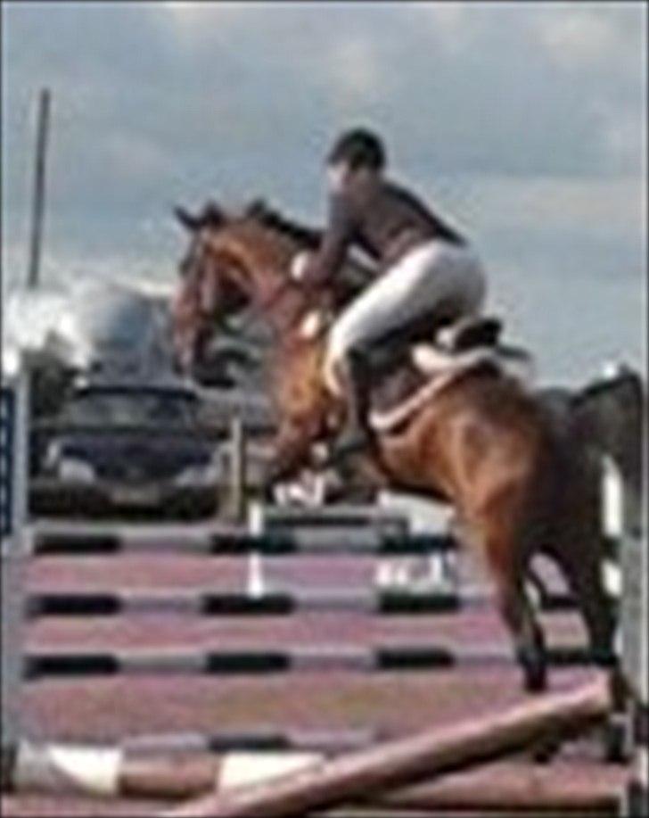 Anden særlig race Rasti billede 16