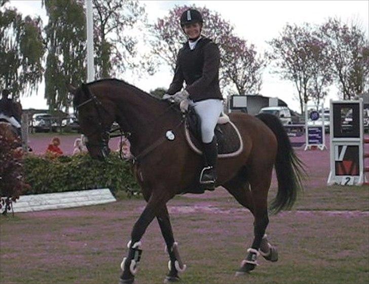 Anden særlig race Rasti billede 18