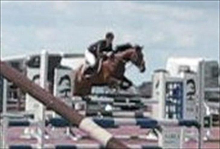 Anden særlig race Rasti billede 19