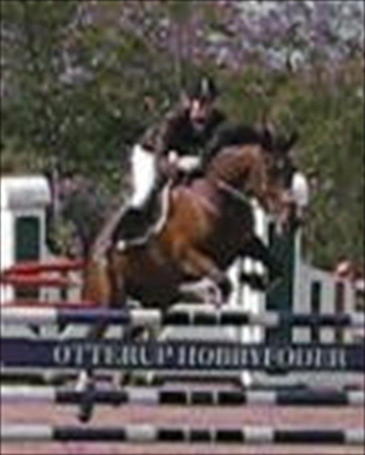 Anden særlig race Rasti billede 20