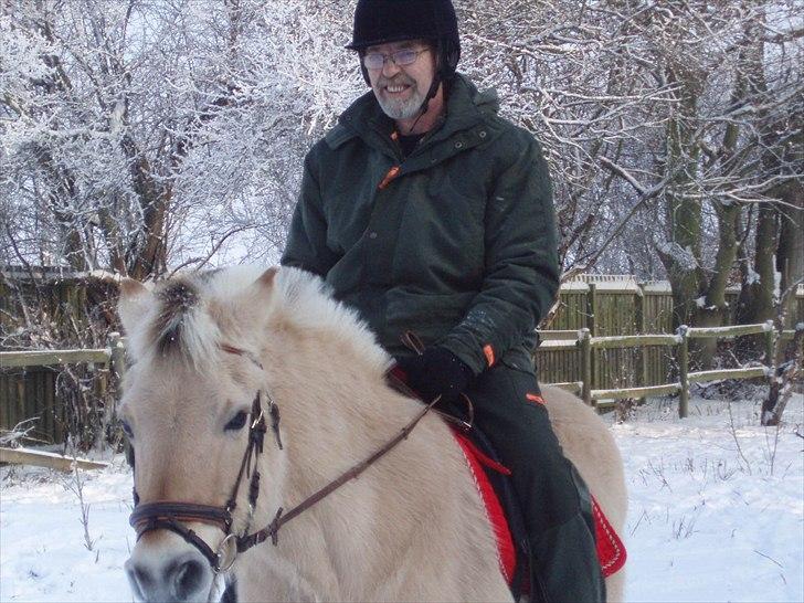 Fjordhest MUSSE ( Dejlig Pige) - På Lolland med Harry oven på, han smiler vældig stolt billede 8