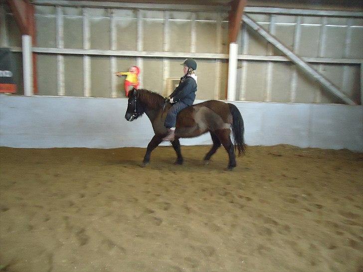 Anden særlig race Sputnik - Sidste dag på dig :( billede 15