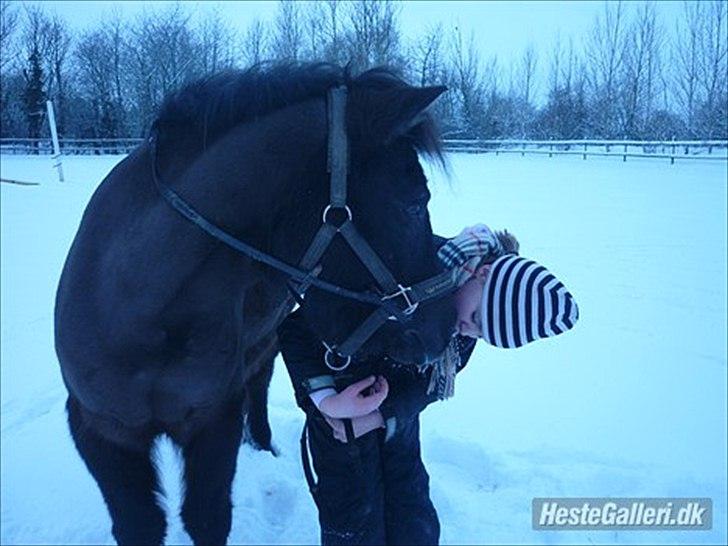 Anden særlig race Sputnik - Et kys til dig <3 billede 17