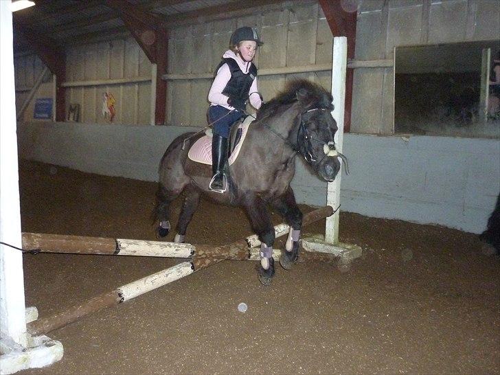 Anden særlig race Sputnik - Vi flyver sammen!  billede 18