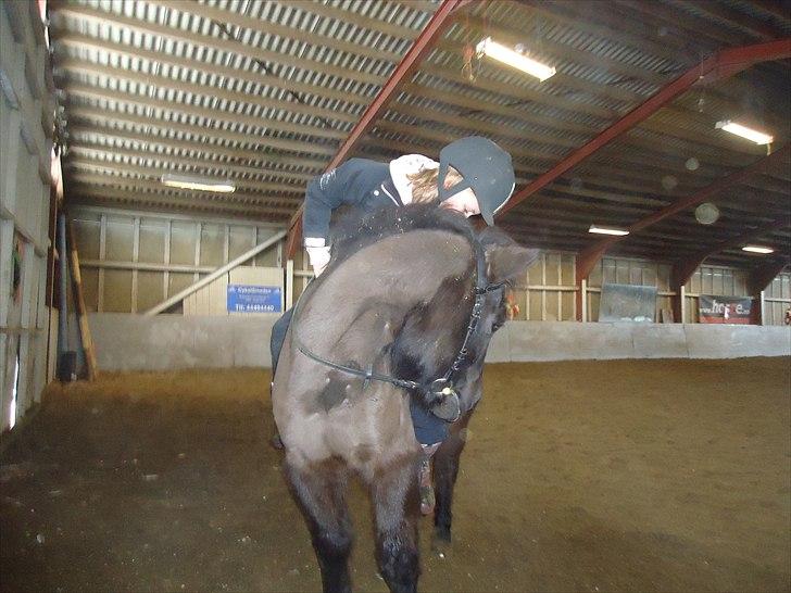 Anden særlig race Sputnik - Tak fordi du kiggede! :) billede 20