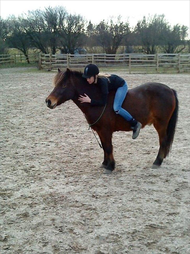 Islænder blanding Sigurd ¤Fortid¤ - A day whitout you feels like a year whitout rain ! <3 billede 10