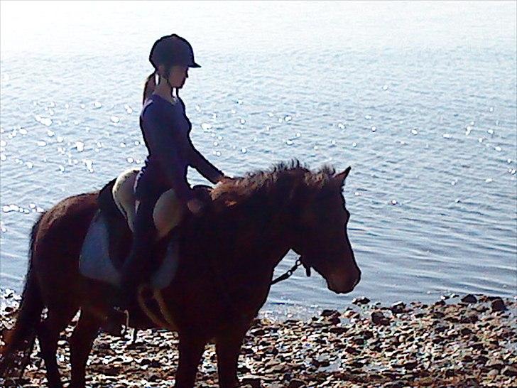 Islænder blanding Sigurd ¤Fortid¤ - You brought me closer to who i really am :* billede 15