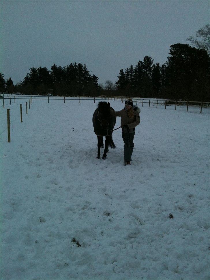 DSP <3 Aslie B-Pony <3 - Min baby <3 billede 8