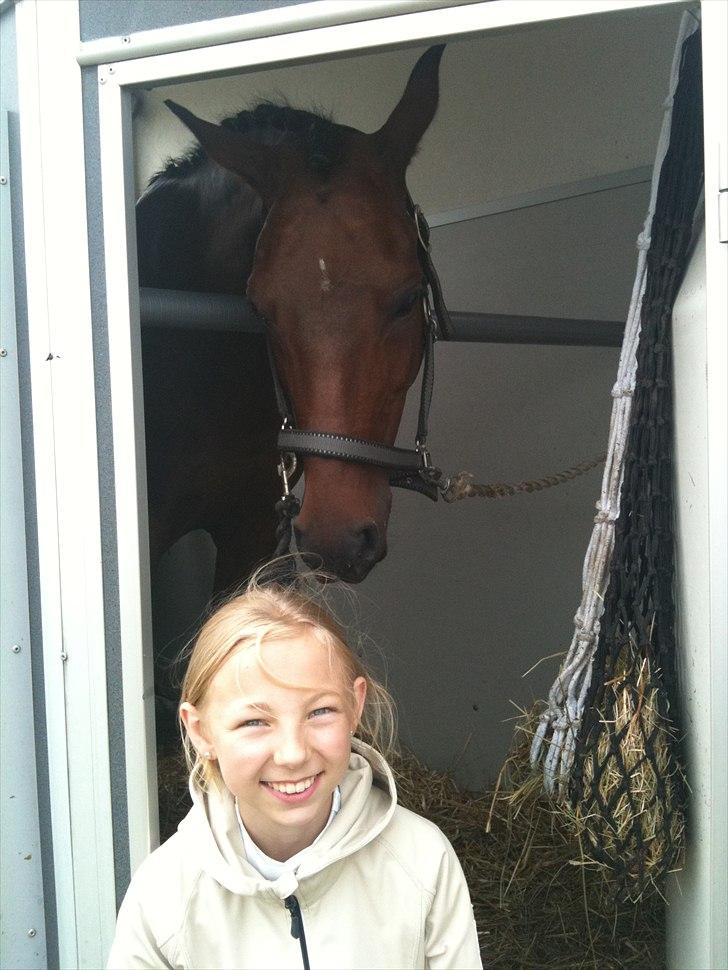 DSP <3 Aslie B-Pony <3 - I traileren til mit første stævne med Aslie, i Hammerum billede 7