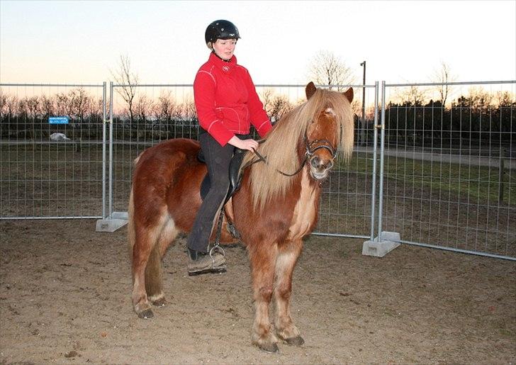 Islænder Skafti Fra Kakke billede 9