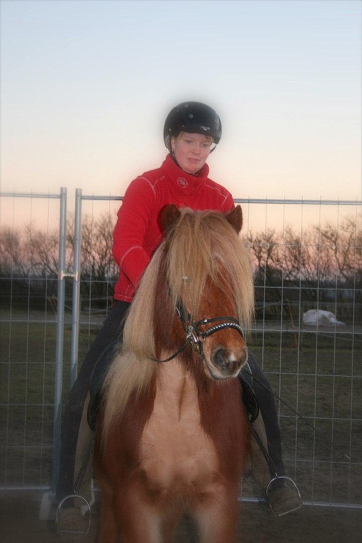 Islænder Skafti Fra Kakke billede 10