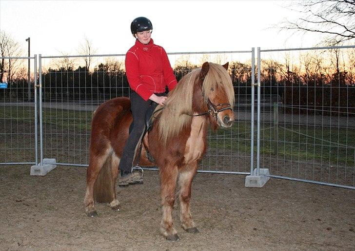 Islænder Skafti Fra Kakke billede 11