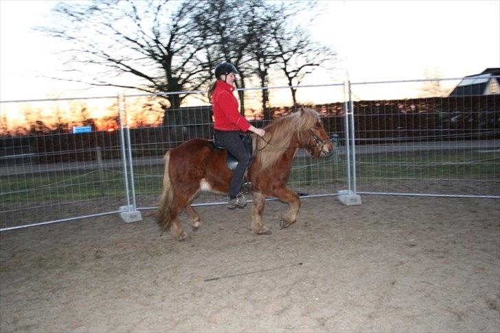 Islænder Skafti Fra Kakke billede 12