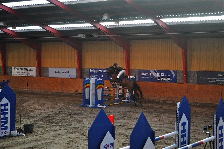 Svensk Varmblod A-tack - Til stævne i hillerød d. 13-11-2010 billede 2